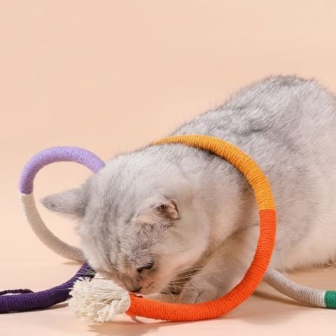 Jouet pour chat de couleur orange