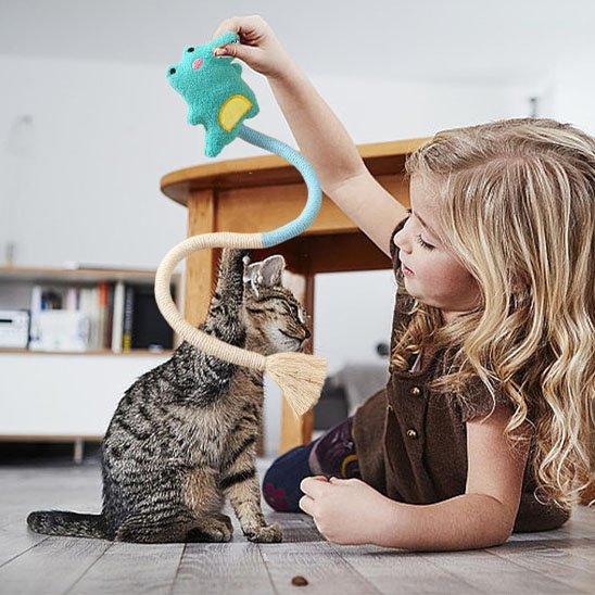 Jouet Corde pour Chat Interactif - Tirecorde Stimulation - Chatjoue - Chatjoue