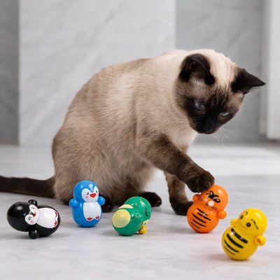 Jouet pour Chat de couleurs vives 