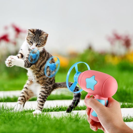 Jouet pour chat pistolet à hélice | Stimu - Félin - Chatjoue