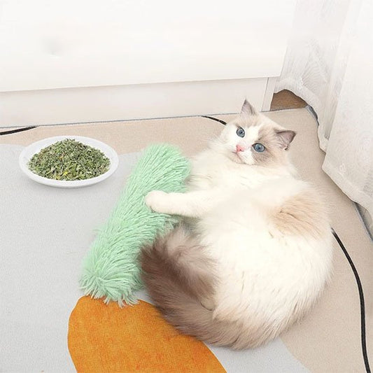 Jouet pour chat en forme de bâton 
