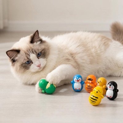 Jouet pour Chat en lot de 5 pièces