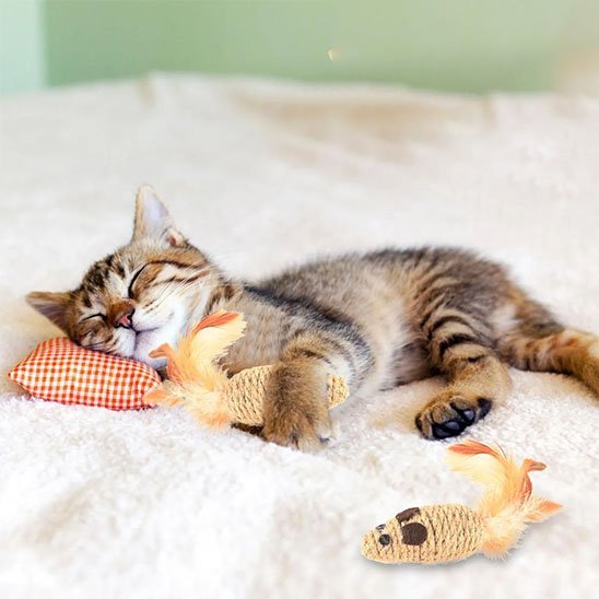 Jouet pour Chat Interactif souris en sisal et plumes - Chatjoue