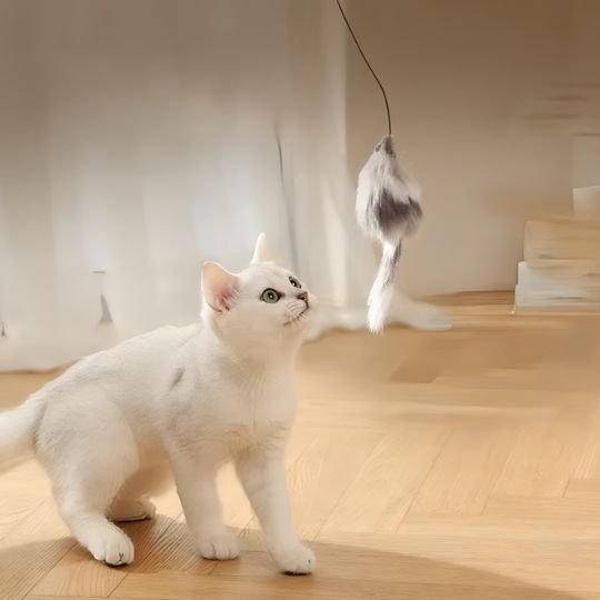Jouet Chat Interactif Boule Imprévisible | Stimulation Mentale | Chatjoue - Chatjoue