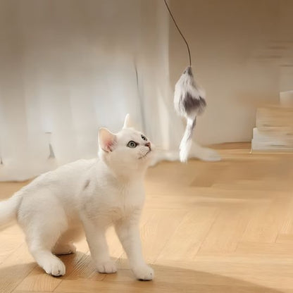 Jouet Chat Interactif Boule Imprévisible | Stimulation Mentale | Chatjoue - Chatjoue