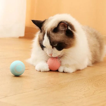 Balle Chat Automatique | Jouet Interactif - Chatjoue