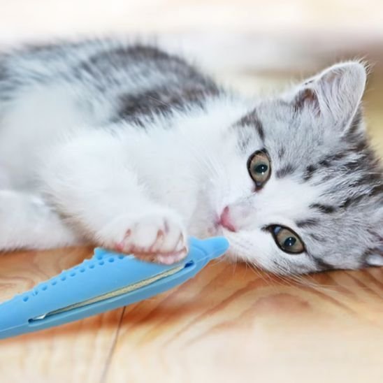 Jouet pour chat poisson herbe à chat | Félinjoueur - chatjoue - Chatjoue
