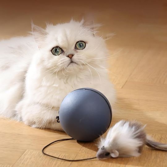 Jouet Chat Interactif Boule Imprévisible | Stimulation Mentale | Chatjoue - Chatjoue