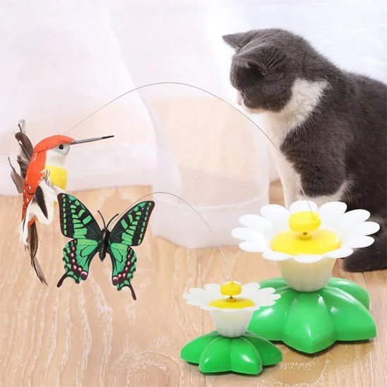 Jouet pour Chat Interactif | jolie fleur papillon colibri | FélinStimul - Chatjoue