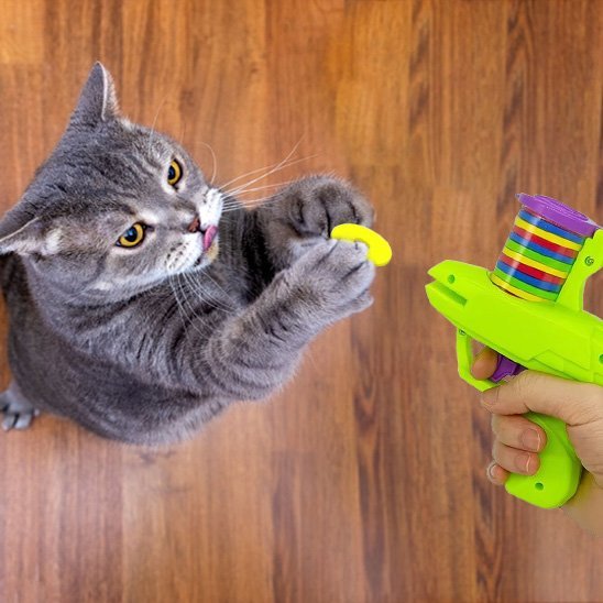 Jouet pour chat interactif pistolet et jetons| ChasseFun - Chatjoue