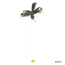 jouet pour chat joli colibri vert