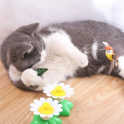 Jouet pour Chat Interactif | jolie fleur papillon colibri | FélinStimul - Chatjoue