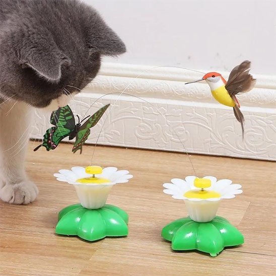 Jouet pour Chat Interactif | jolie fleur papillon colibri | FélinStimul - Chatjoue