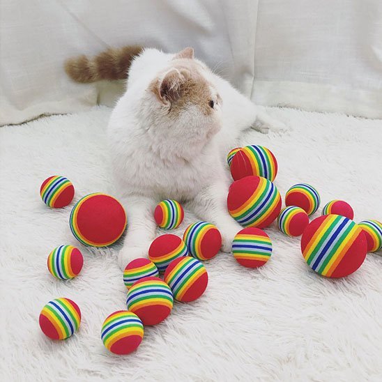 Jouet pour chat balle multi - couleurs mousse | Interactif - Chatjoue