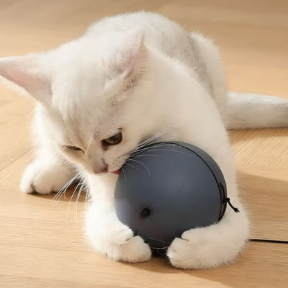 Jouet Chat Interactif Boule Imprévisible | Stimulation Mentale | Chatjoue - Chatjoue