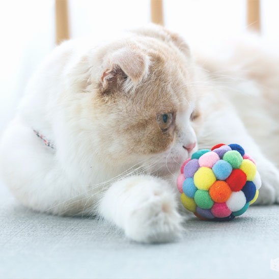 Jouet pour chat balle multi - couleurs - Chatjoue