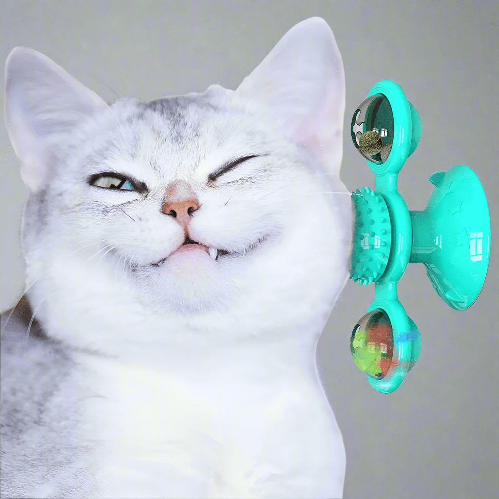Jouet Pour Chat - MultifunctionalGlowingBall™ - Bleu ciel - Chatjoue