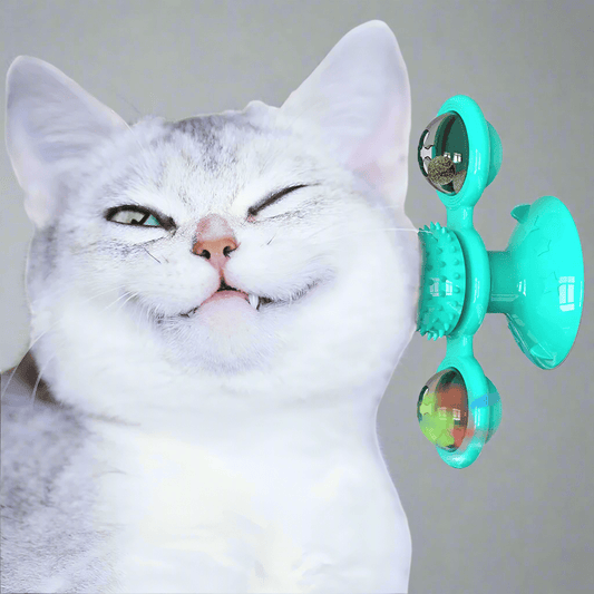 Jouet Pour Chat - MultifunctionalGlowingBall™ - Bleu ciel - Chatjoue