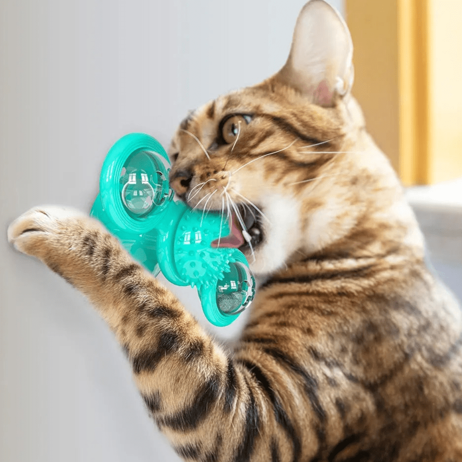 Jouet Pour Chat - MultifunctionalGlowingBall™ - Bleu ciel - Chatjoue