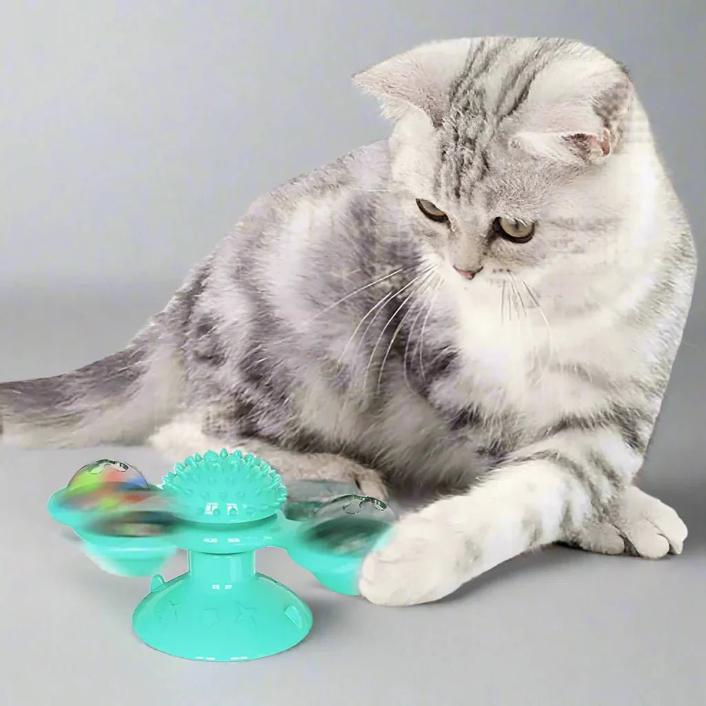 Jouet Pour Chat - MultifunctionalGlowingBall™ - Bleu ciel - Chatjoue