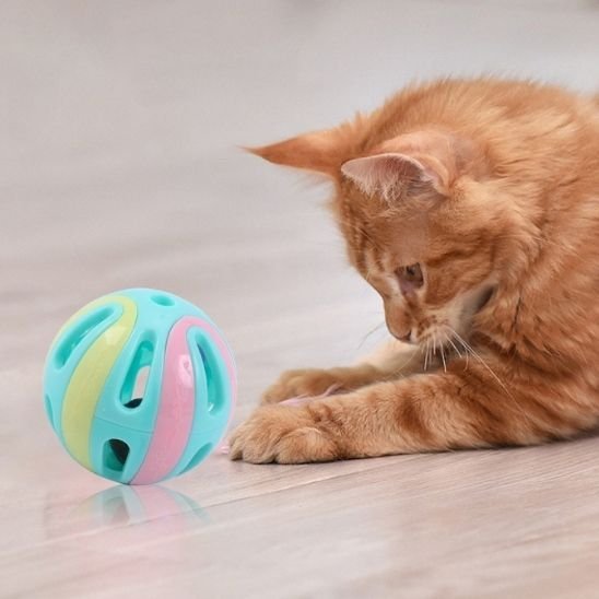 Jouet pour chat ne craigne pas les morsures 