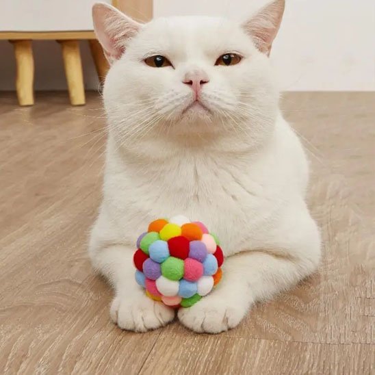 Jouet pour chat balle multi - couleurs - Chatjoue