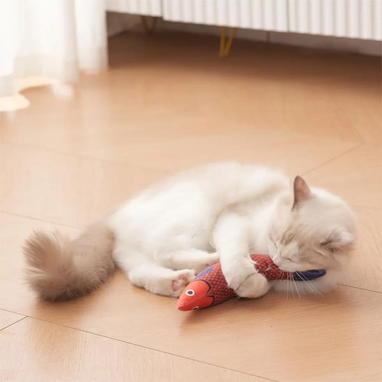 Jouet pour Chat poisson avec bruissement stimulant - Chatjoue