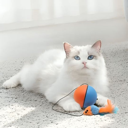 Jouet Chat Interactif Boule Imprévisible | Stimulation Mentale | Chatjoue - Chatjoue