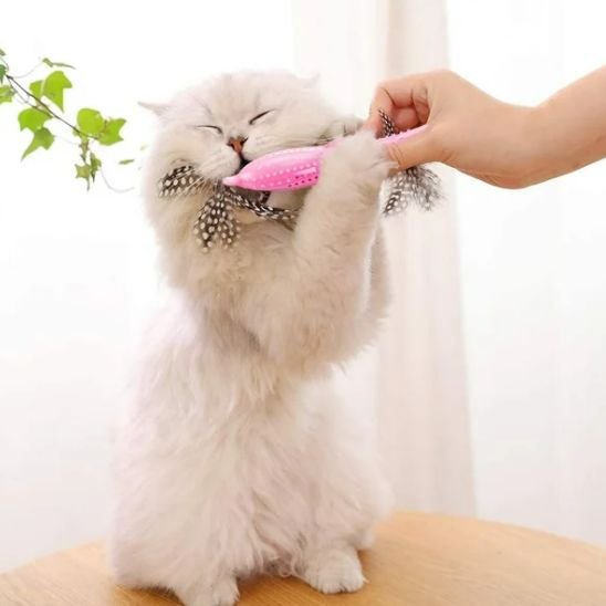 Jouet pour chat poisson herbe à chat | Félinjoueur - chatjoue - Chatjoue