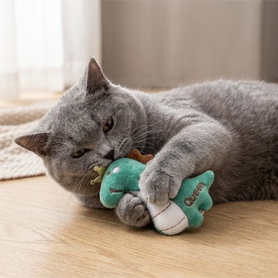 Jouet pour Chat petit dinosaure