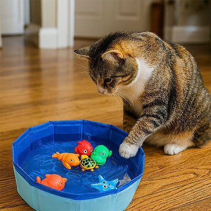 Jouet pour chat interactif piscine bleue et 6 figurines | FéliFun - Chatjoue