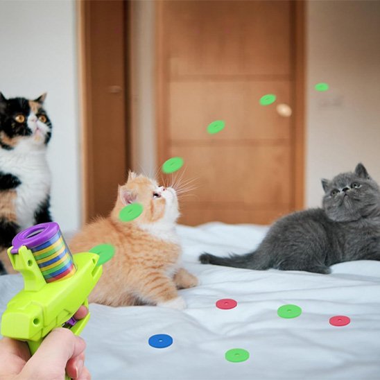 Jouet pour chat interactif pistolet et jetons| ChasseFun - Chatjoue