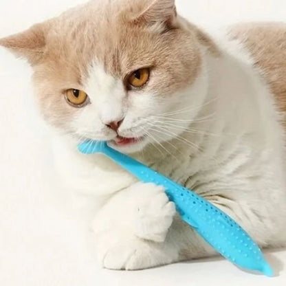 Jouet pour chat poisson herbe à chat | Félinjoueur - chatjoue - Chatjoue