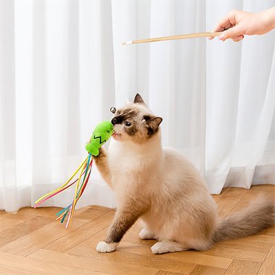 Jouet pour chat baguette et poisson | Interactif Félin - Chatjoue