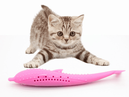Jouet pour chat poisson herbe à chat | Félinjoueur - chatjoue - Chatjoue