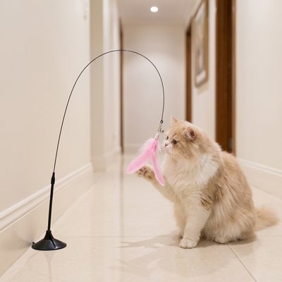 Jouet pour chat possède des plumes roses au bout