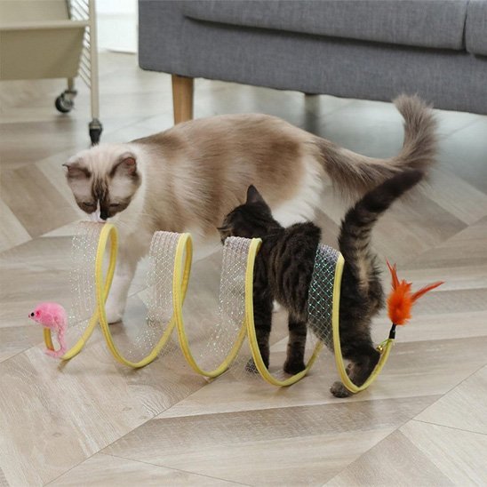 Jouet pour chat tunnel ouvert | Félin Actif - Chatjoue