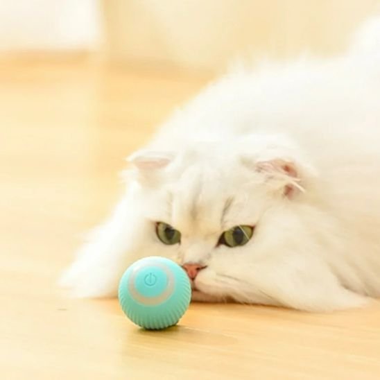 Balle Chat Automatique | Jouet Interactif - Chatjoue