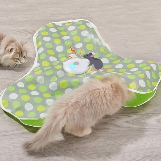 Jouet interactif pour chat soucoupe et plumeau | Anti - ennui chatjoue - Chatjoue