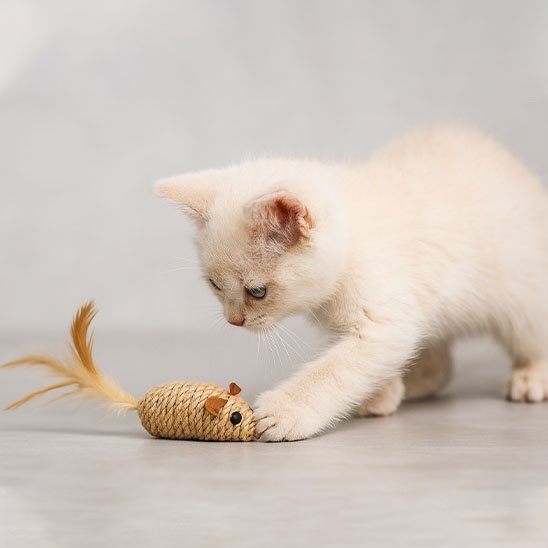 Jouet pour Chat Interactif souris en sisal et plumes - Chatjoue