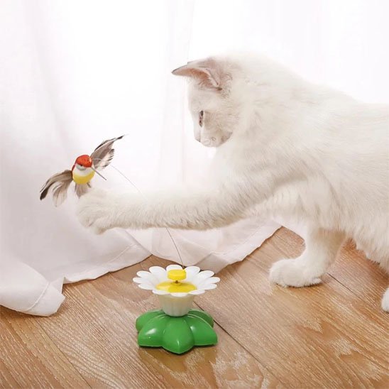 Jouet pour Chat Interactif | jolie fleur papillon colibri | FélinStimul - Chatjoue