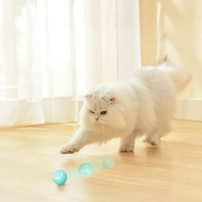 Balle Chat Automatique | Jouet Interactif - Chatjoue