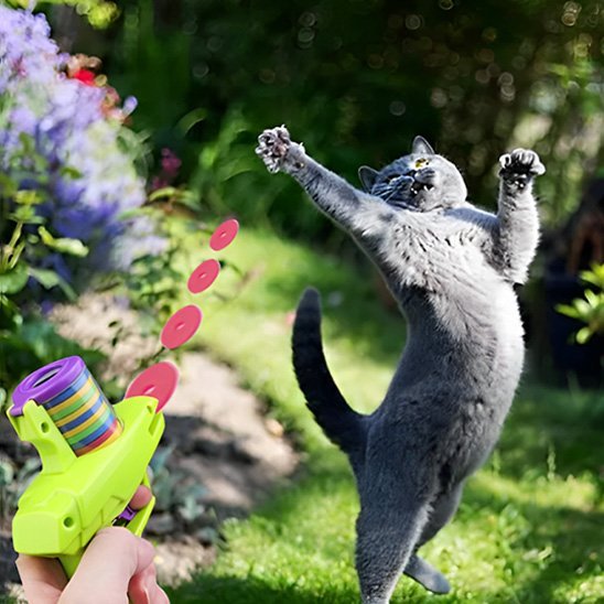 Jouet pour chat interactif pistolet et jetons| ChasseFun - Chatjoue