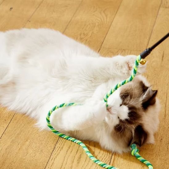 Jouet Corde Interactif pour Chat - Stimule l'Instinct de Chasse - Chatjoue - Chatjoue