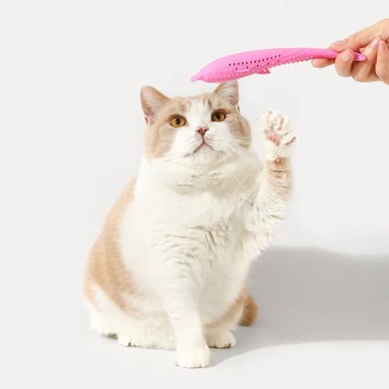 Jouet pour chat poisson herbe à chat | Félinjoueur - chatjoue - Chatjoue
