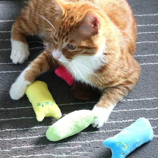 Jouet pour chat interactif peluche en velour | StimuloCat - Chatjoue