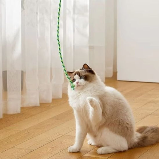 Jouet Corde Interactif pour Chat - Stimule l'Instinct de Chasse - Chatjoue - Chatjoue