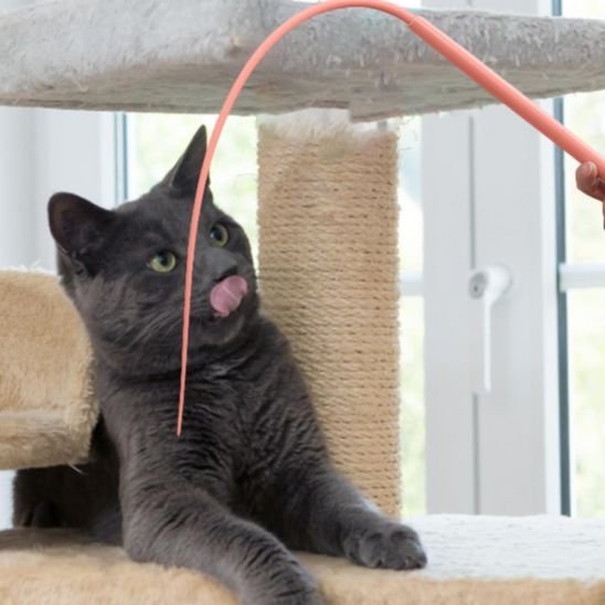 Jouet pour chat baguette queue de rat | stimulicat - chatjoue - Chatjoue