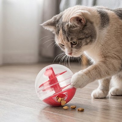 Jouet pour Chat un jeu ludique