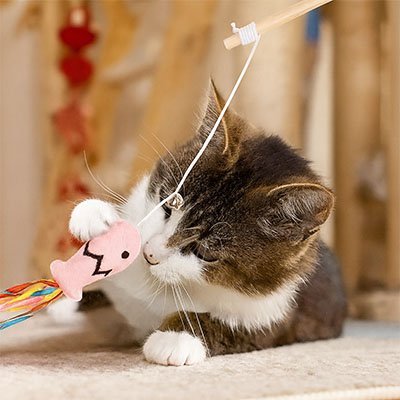 Jouet pour chat baguette et poisson | Interactif Félin - Chatjoue
